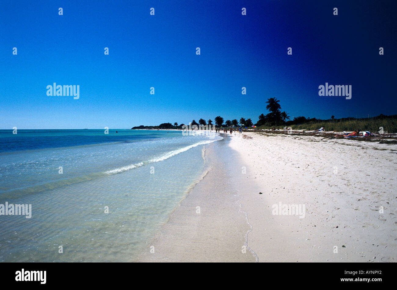 Das Meer runden sanft an den Stränden der Bahia Honda State Recreation Area auf den unteren Tasten Stockfoto