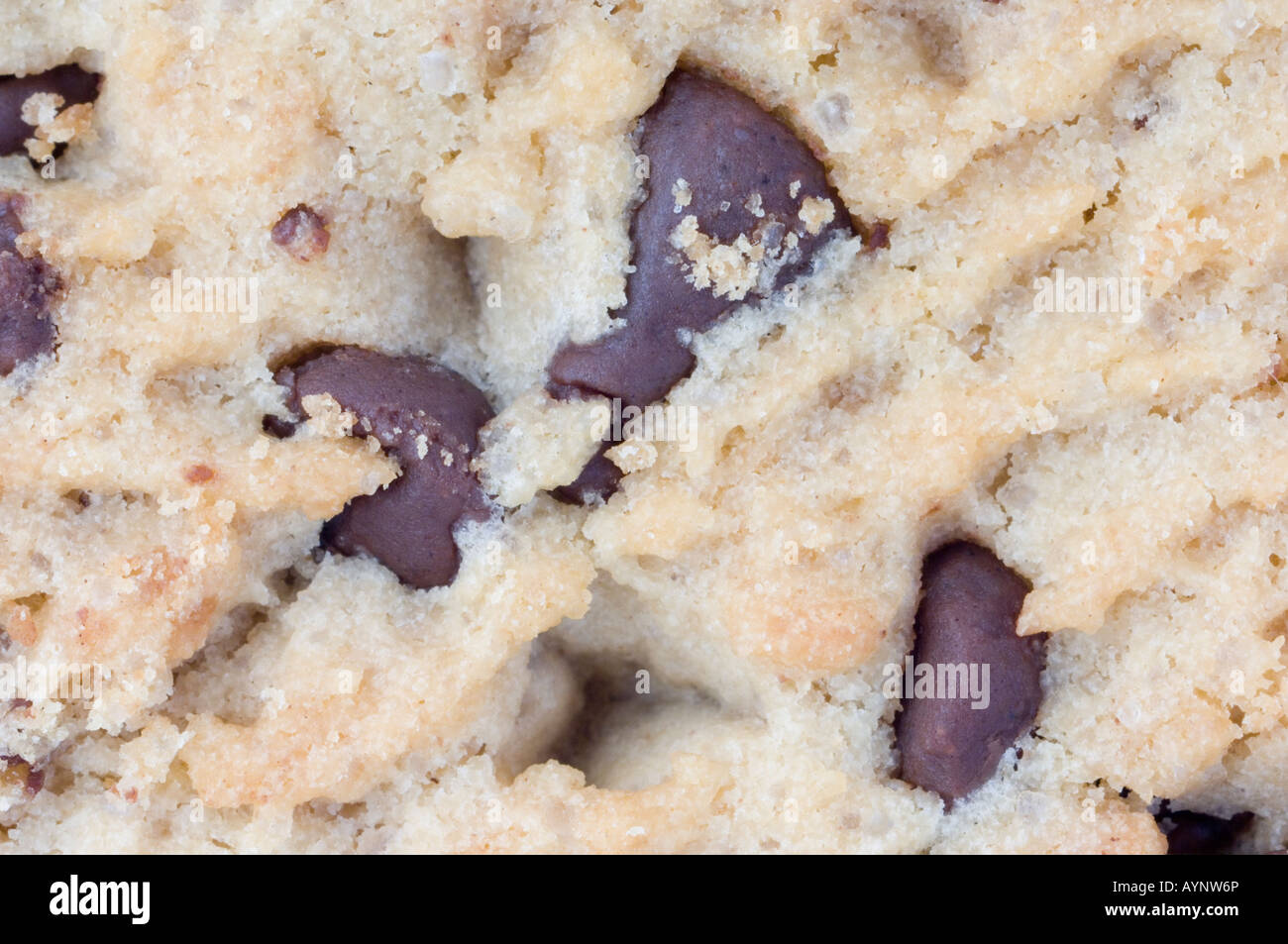 Nahaufnahme von Choc Chip Cookie Stockfoto