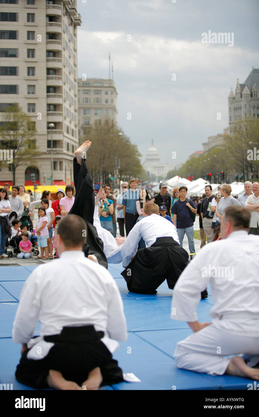 Martial Arts Vorführung, Cherry Blossoms Festival, Washington DC, USA Stockfoto