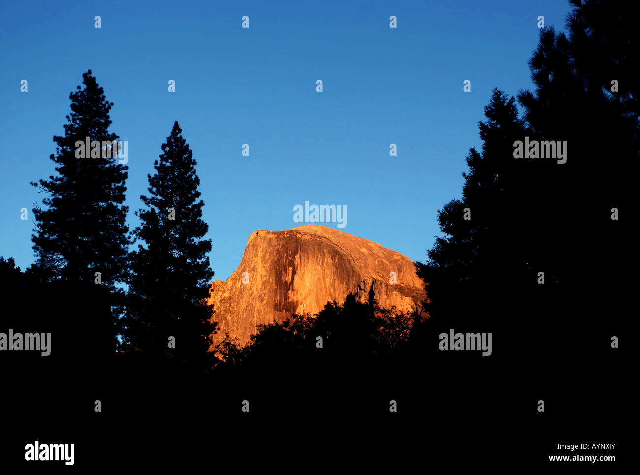 El Capitan Yosemite Nationalpark Kalifornien USA Stockfoto