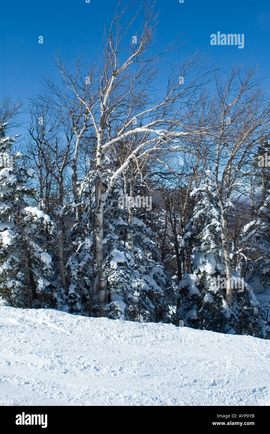 Killington Ski Resort Vermont USA Stockfoto