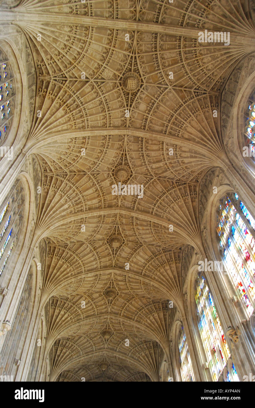 Fächergewölbe Kirchenschiff, King's College Chapel, King's College, Cambridge, Cambridgeshire, England, Vereinigtes Königreich Stockfoto
