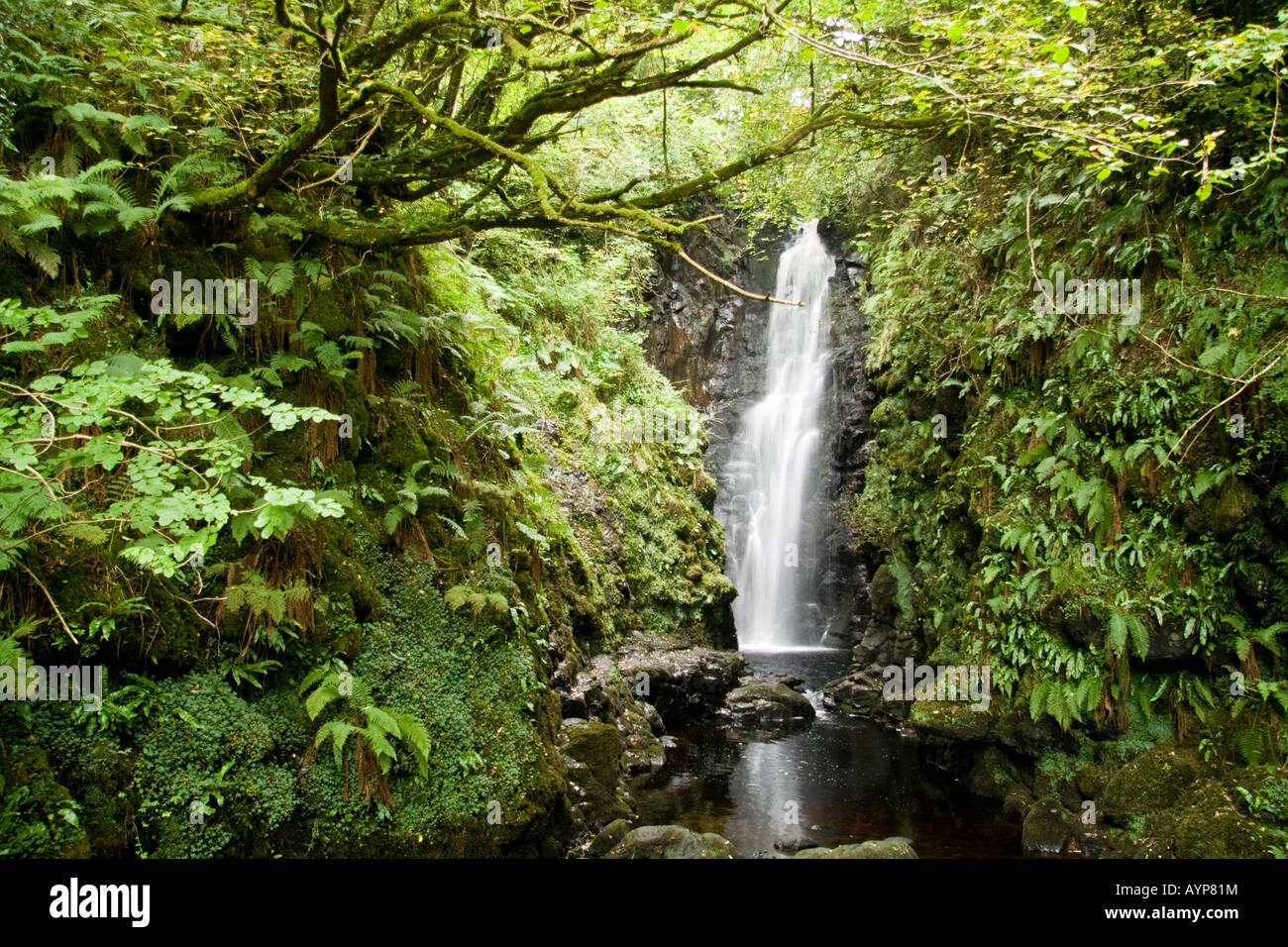 Jede Ritze fällt in der Nähe von Carnlough Northern Ireland Stockfoto
