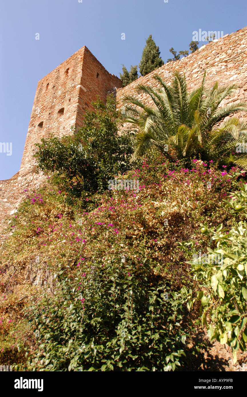 Burg Alcazaba Malaga Andalusien Costa Del Sol Spanien Stockfoto