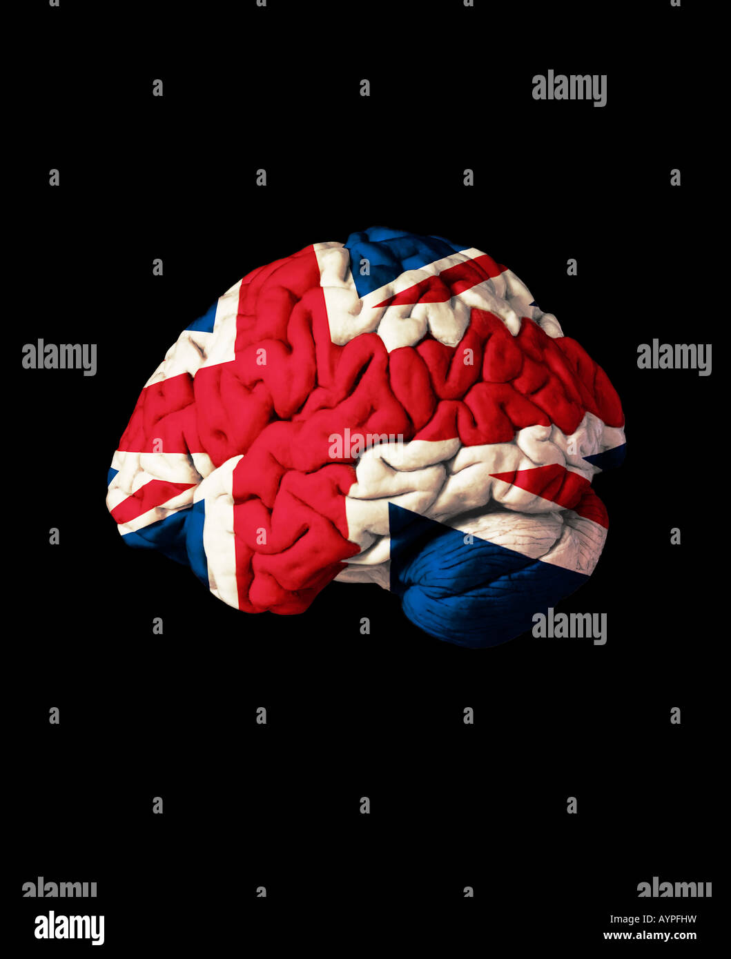 Britisches menschliches Gehirn KÜNSTLICHE INTELLIGENZ KRÖNUNG Stockfoto