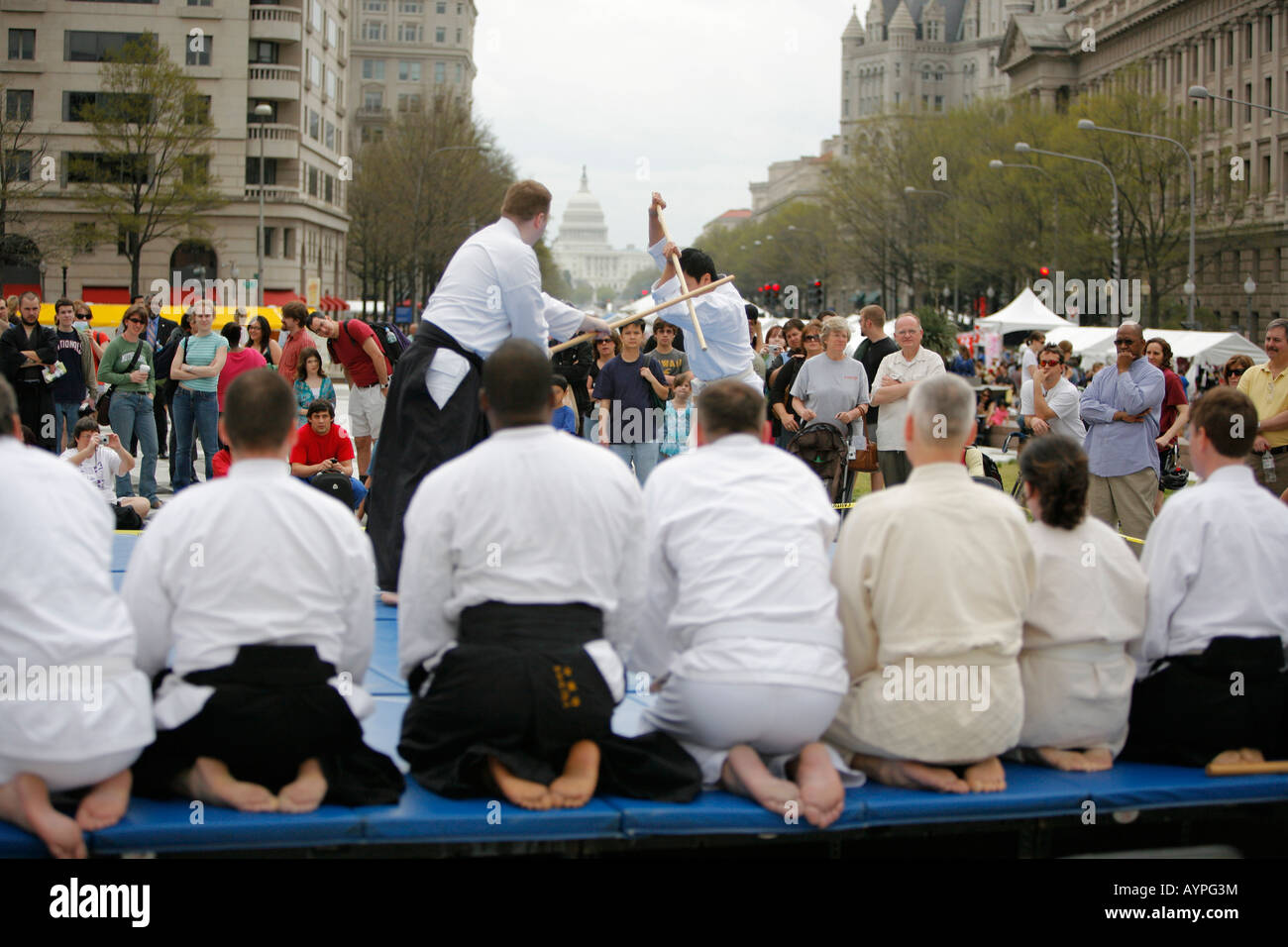 Martial Arts Vorführung, Cherry Blossoms Festival, Washington DC, USA Stockfoto