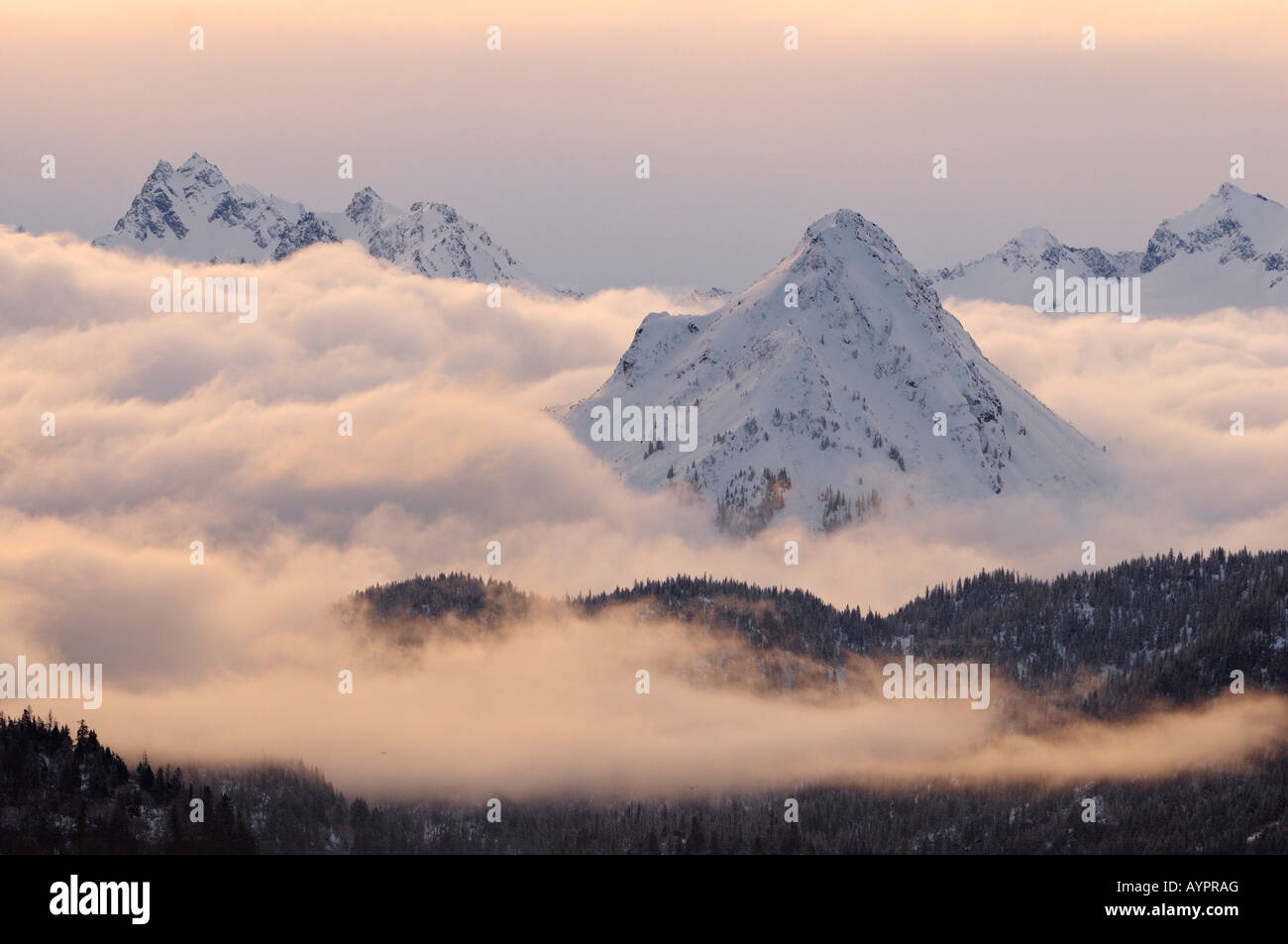 Morgendämmerung im Kachemak Bay State Park, Halbinsel Kenai, Alaska, USA Stockfoto