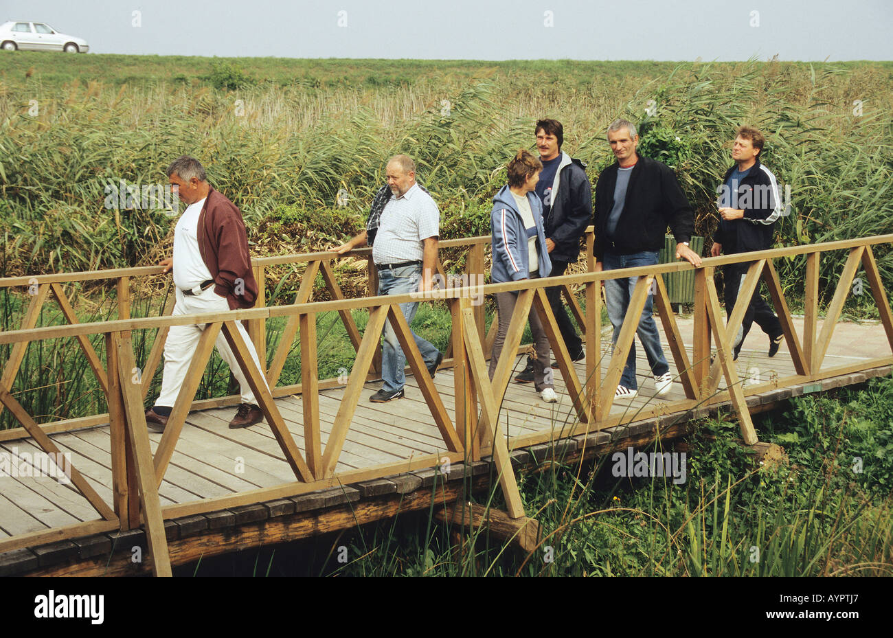 Menschen zu Fuß das Board gehen Wanderwege auf den nassen Ländern des Kopacki Rit Stockfoto