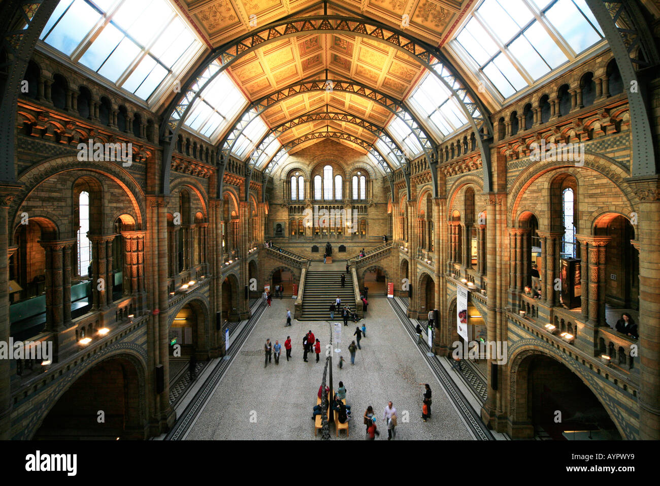 Innere des British Natural History Museum, London Stockfoto
