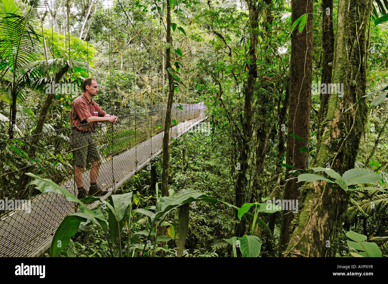 Mann auf einer Hängebrücke in der Nähe von Lake Arenal, Costa Rica, Mittelamerika Stockfoto