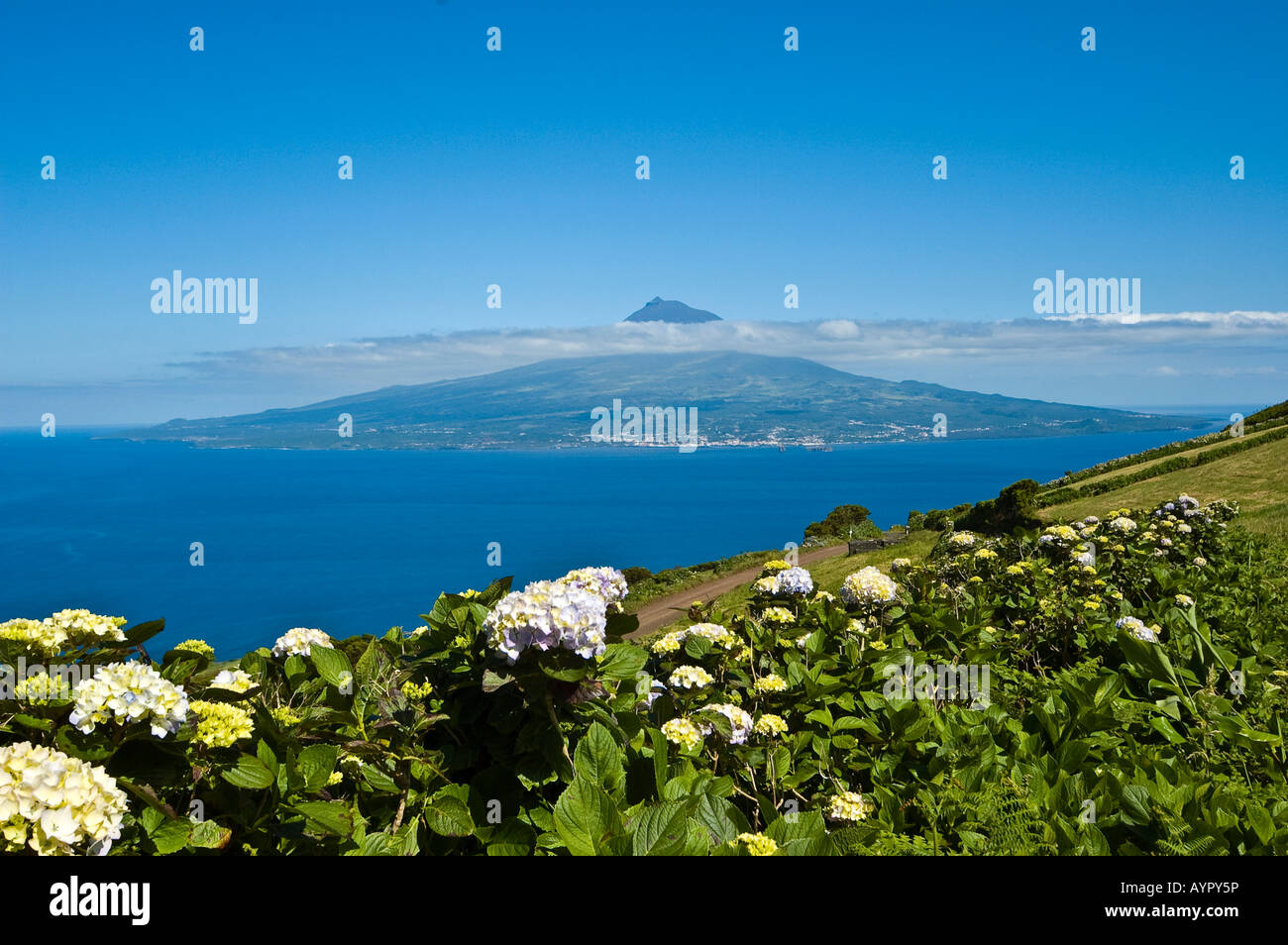 Insel Pico und Vulkan gesehen von Faial, Azoren, Portugal, Atlantik Stockfoto