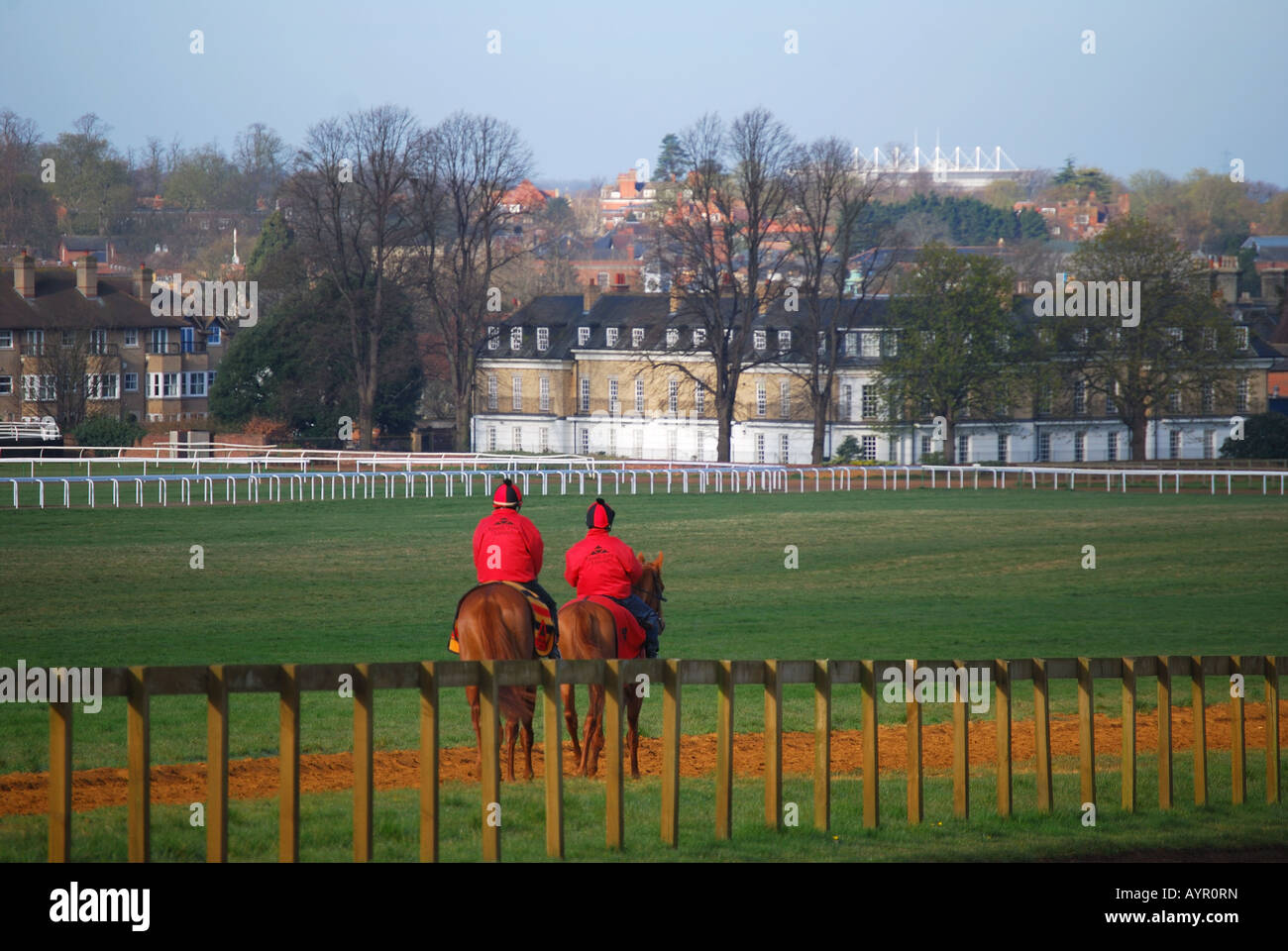 Am frühen Morgen Pferdentraining laufen, Newmarket, Suffolk, England, Vereinigtes Königreich Stockfoto