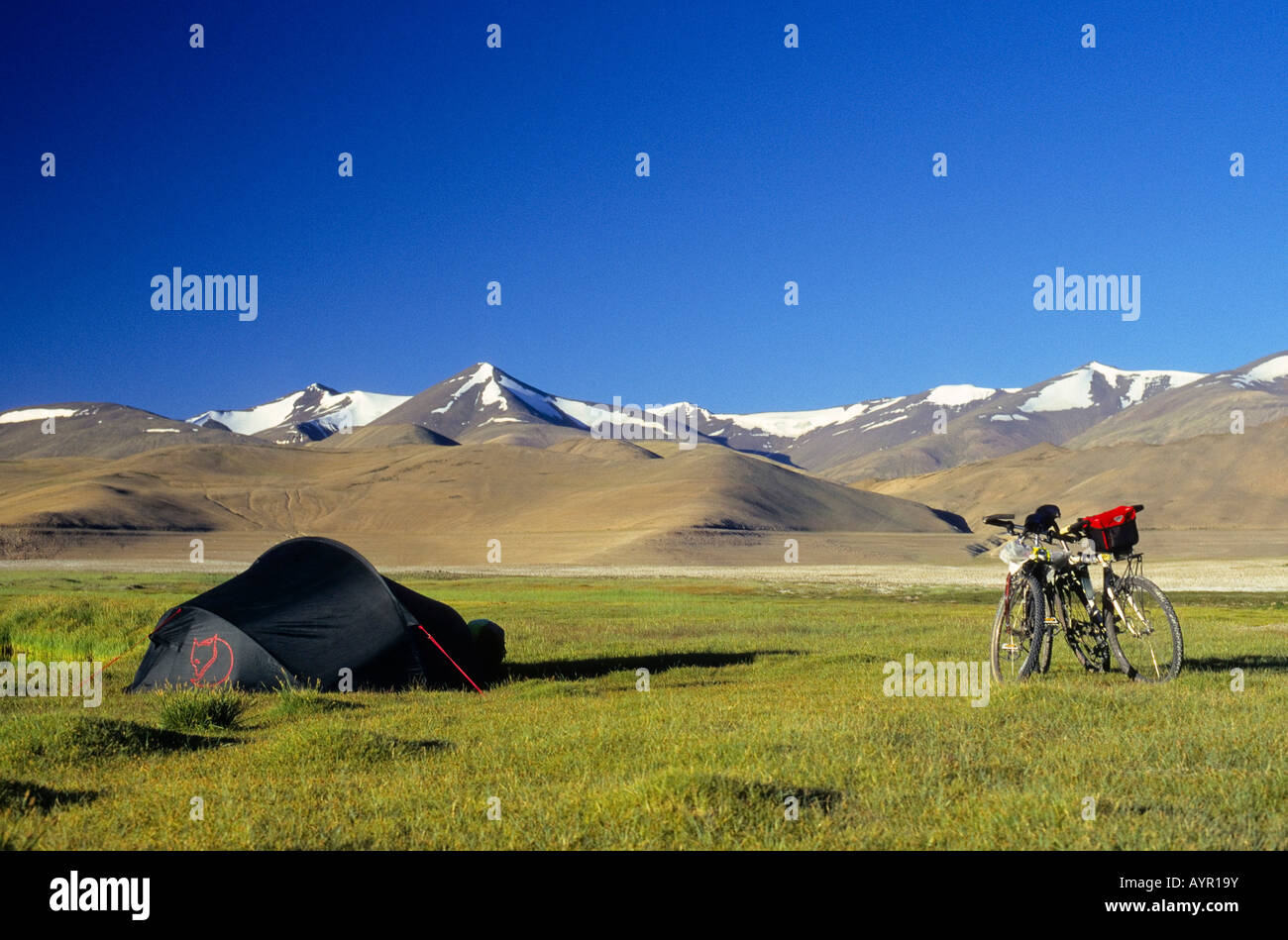 Zwei Mountainbikes neben einem Zelt, grasbewachsenen Hochebene und schneebedeckte Gipfel, Höhe über 4900 Meter, Himalaya, Ladakh, Stockfoto