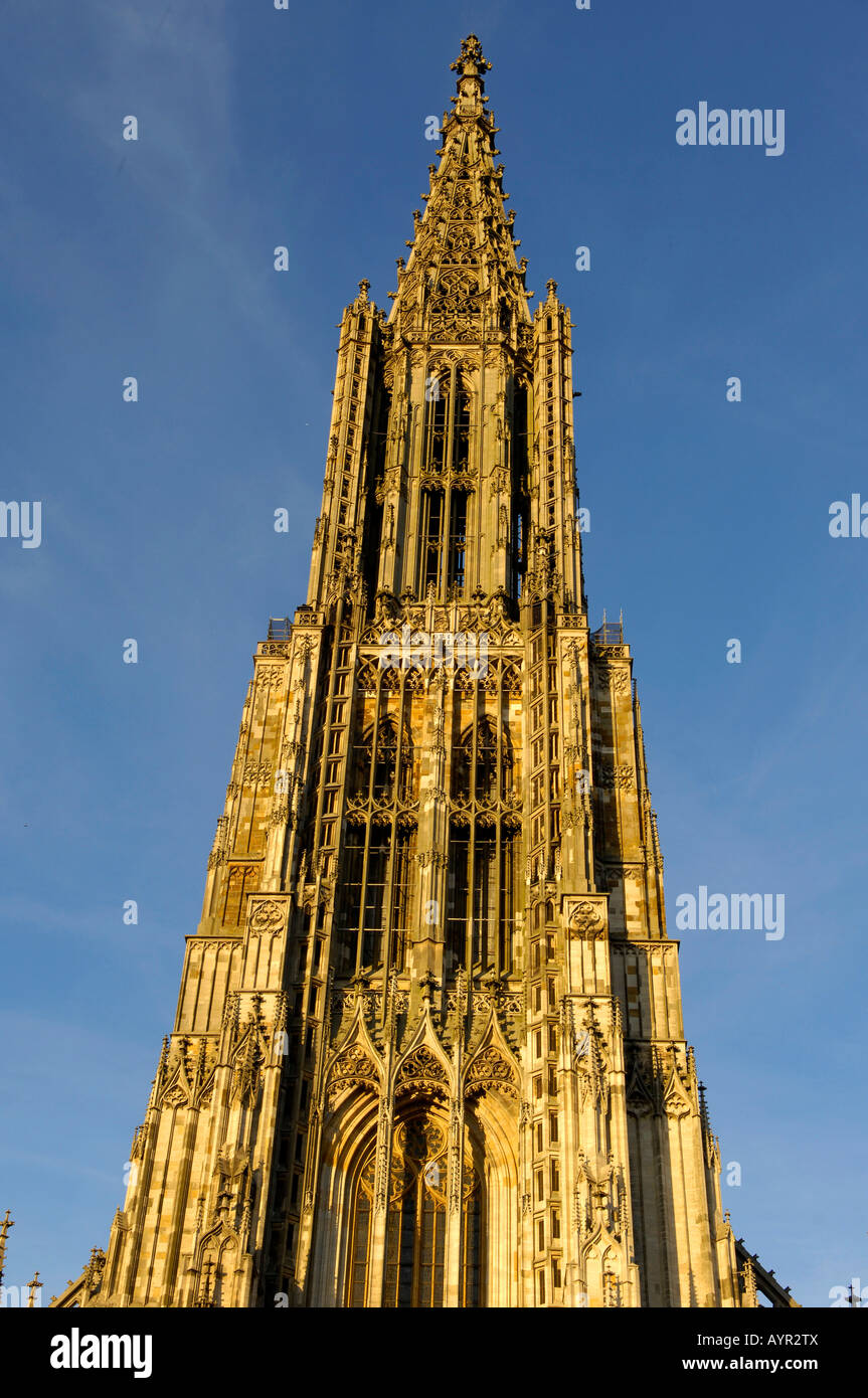 Kathedrale von Ulm, Ulm, Baden-Württemberg, Deutschland Stockfoto