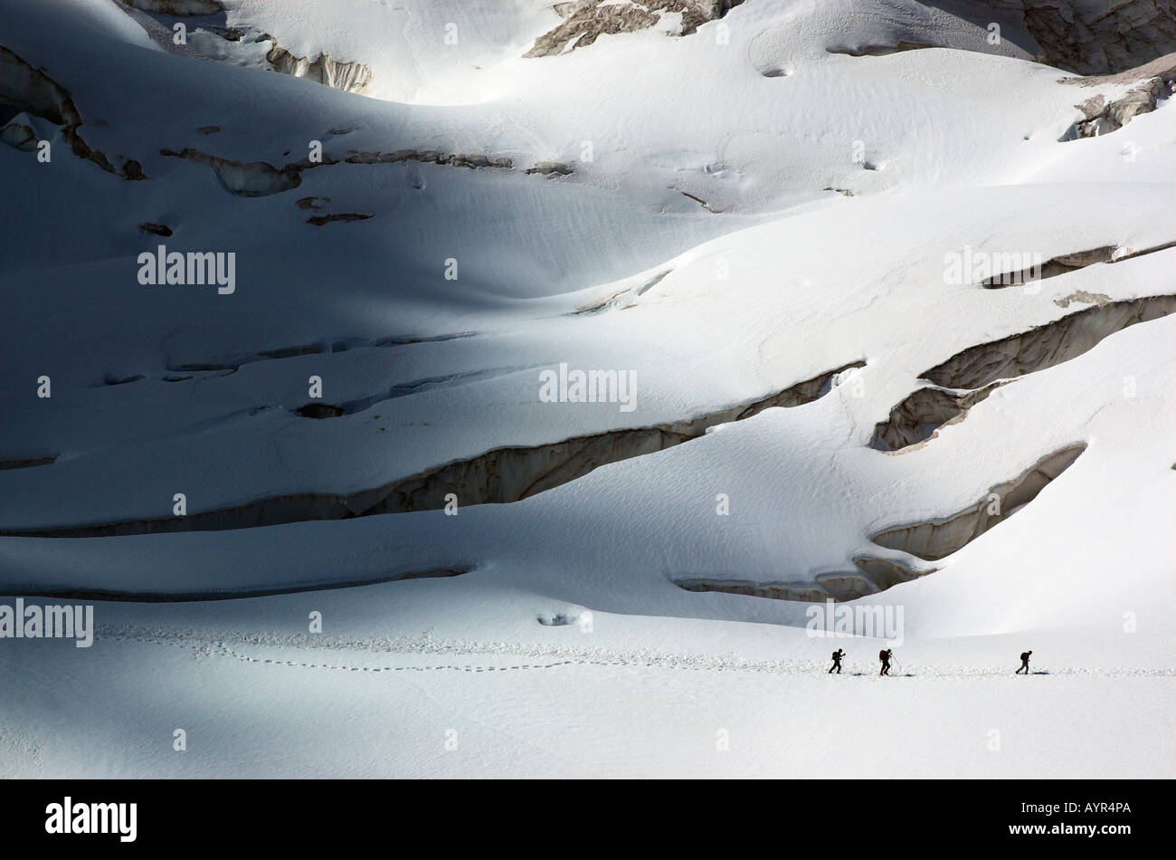 Ein Seil von drei Kletterer in den Schatten gestellt durch die riesigen gletscherspalten des Gletschers Geant hoch in den französischen Alpen Chamonix Frankreich Stockfoto