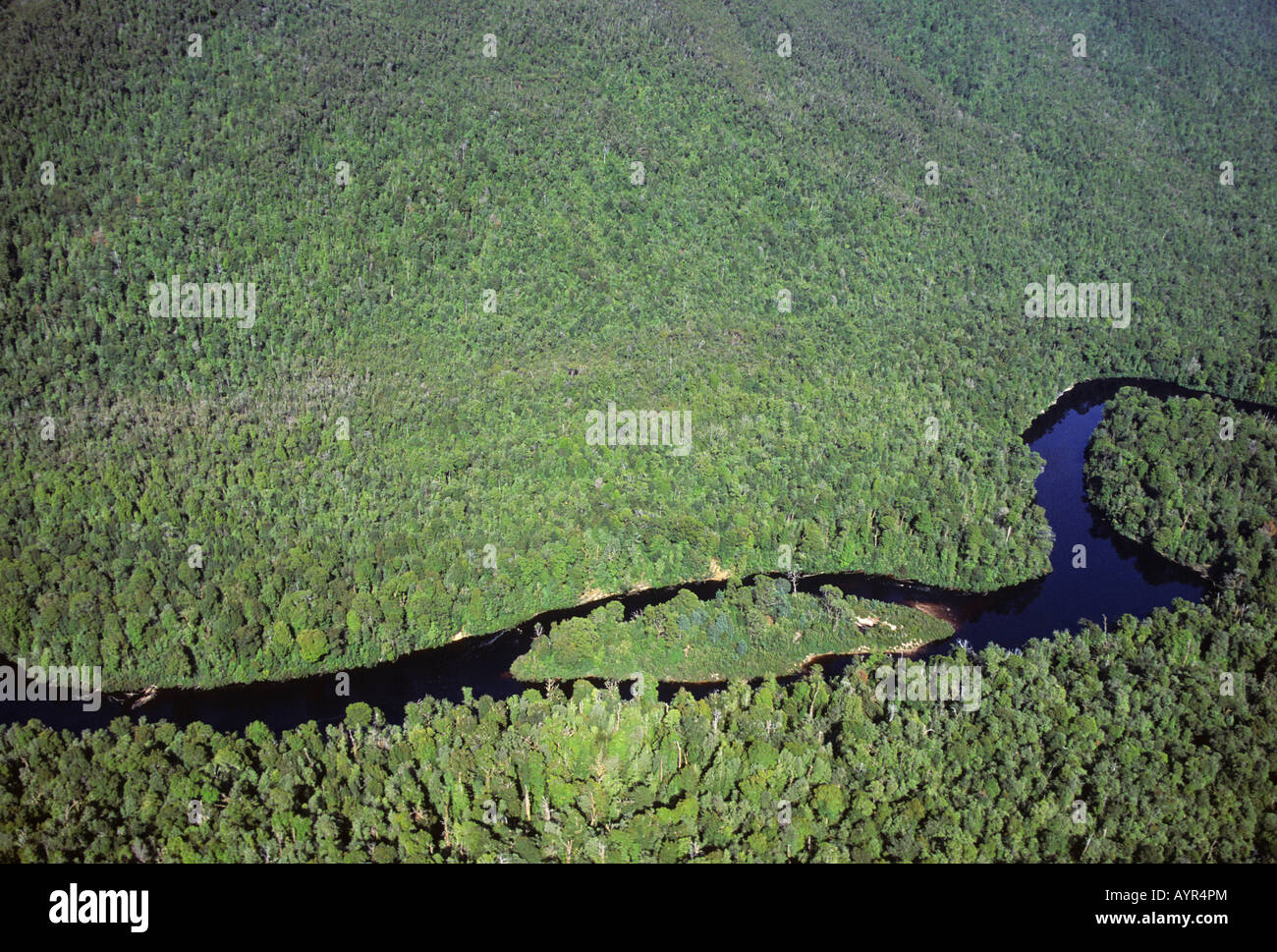 Luftaufnahme von Gordon Flüsse, Franklin-Gordon Wild Rivers Nationalpark, World Heritage Area, Tasmanien, Australien Stockfoto