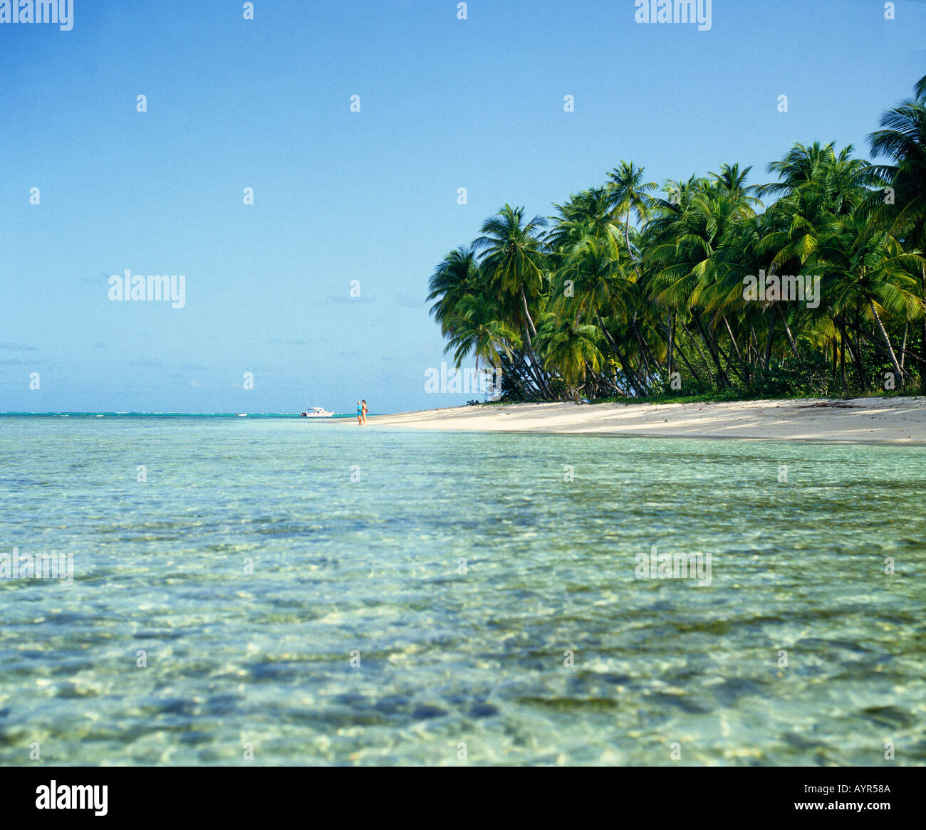 Karibik-Strand von Tobago West Indies Stockfoto