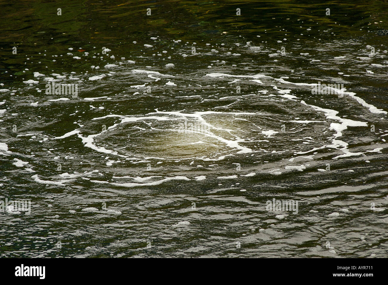 Oxidation von Wasser für die Beseitigung der Eutrophierung in verschmutzten Kanal in Swansea Wales Großbritannien Stockfoto