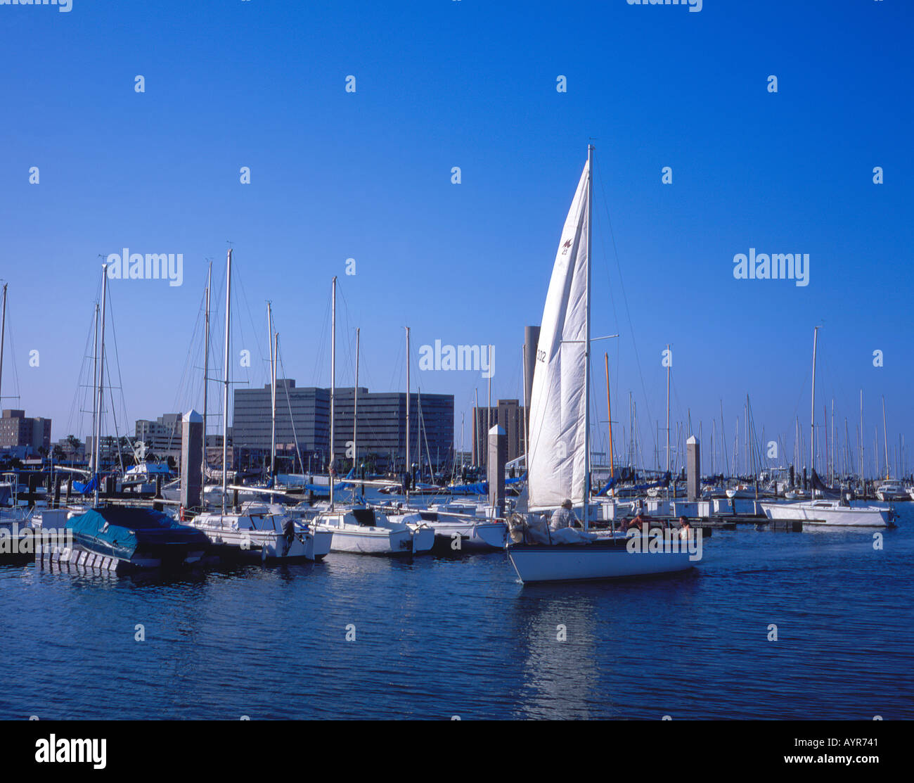 Hafen von Corpus Christi Texas USA Stockfoto