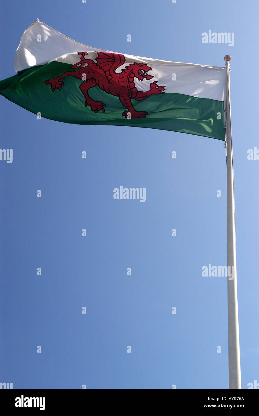 Welsh National Flag Schloss von Cardiff Wales UK Stockfoto