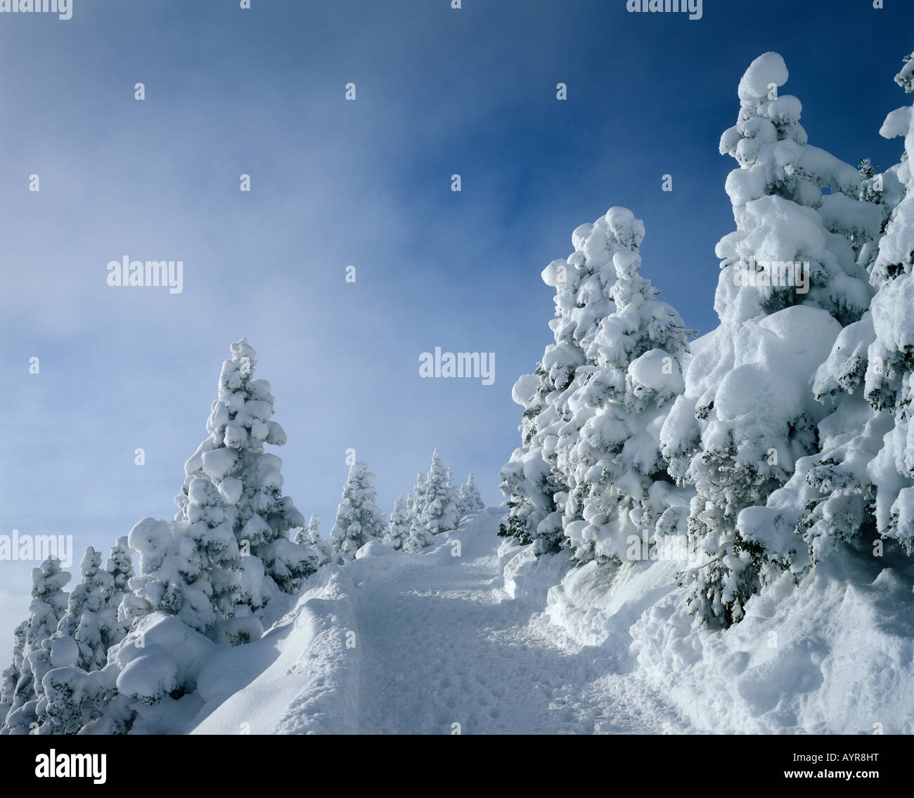 Winterliche Wanderungen Trail, Mt. Breitenberg, Ost-Allgäu, Bayern, Deutschland, Europa Stockfoto