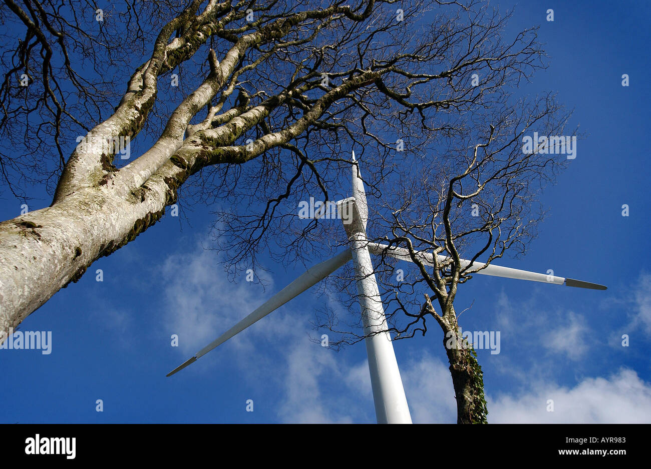 Die neue Windenergieanlagen in Bradworthy North Devon Stockfoto