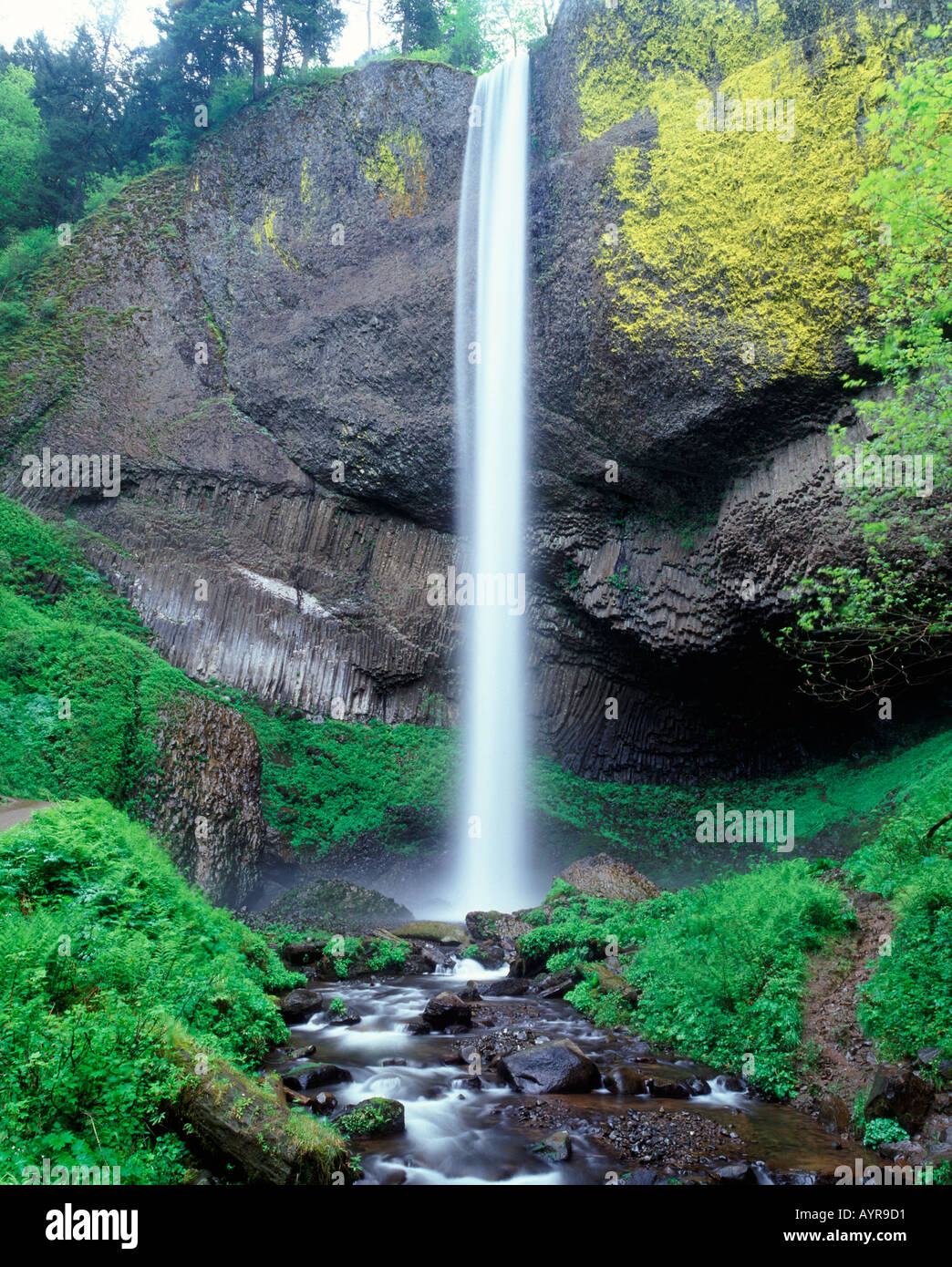 Louterell Falls, Columbia River Gorge, Oregon, USA Stockfoto