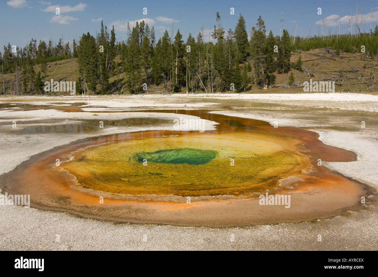 Chromatische Frühling in Upper Geyser Basin, Yellowstone-Nationalpark, Wyoming, USA Stockfoto
