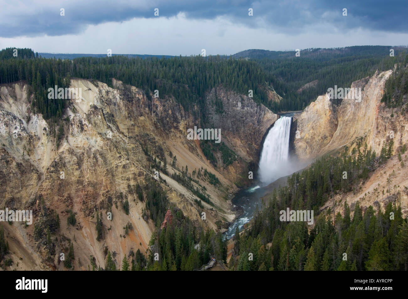 Blick auf Lower Falls, Grand Canyon des Yellowstone, Yellowstone-Nationalpark, Wyoming, USA Stockfoto