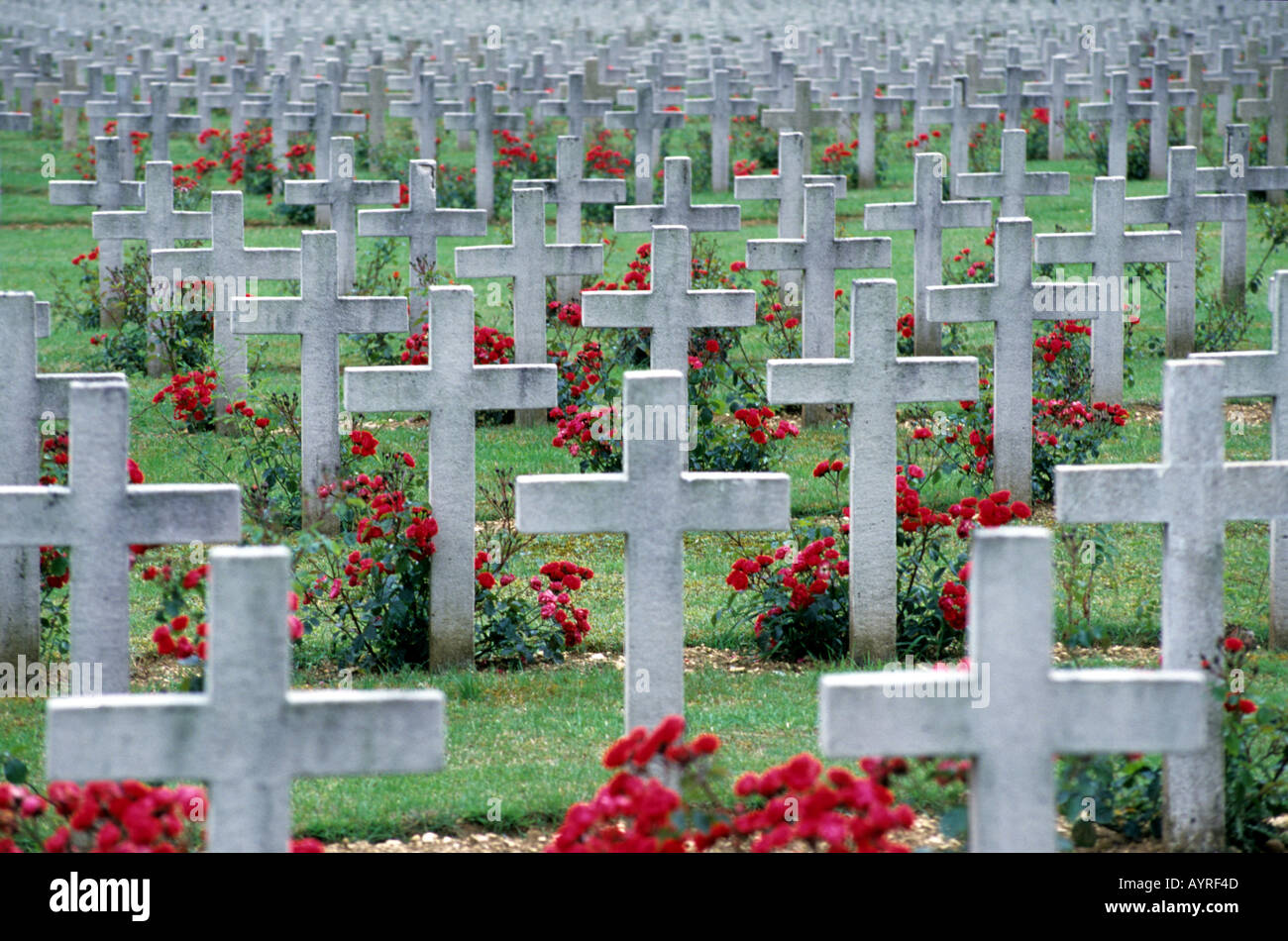 Rote Blumen Weltkrieg Friedhof Verdun Frankreich überquert Stockfoto