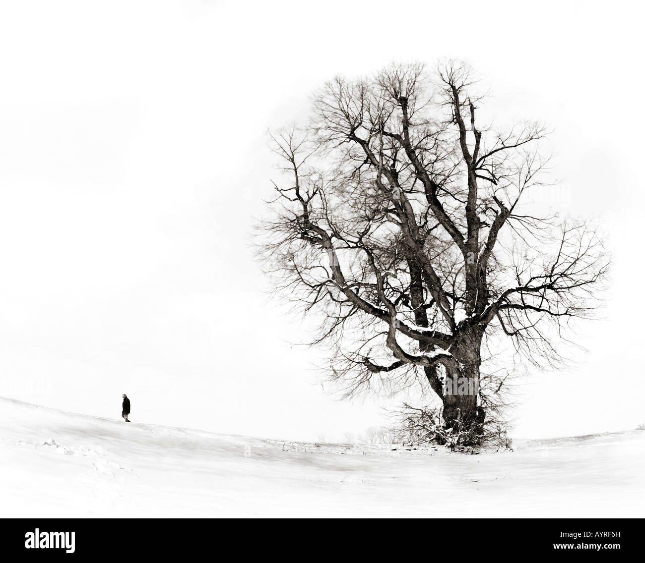 Winter-Spaziergang, Stuttgart, Baden-Württemberg, Deutschland Stockfoto