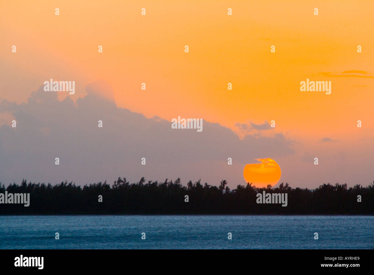 Mauritius - Sonnenuntergang mit Meer und die Bäume Stockfoto
