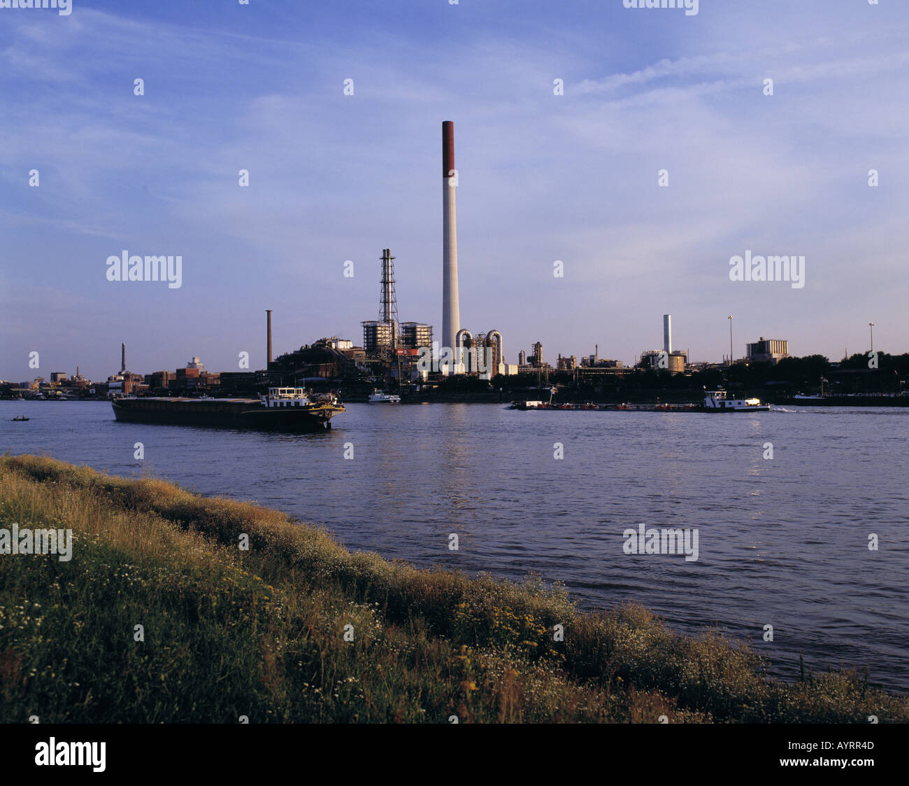 D-Ludwigshafen am Rhein, Rhein, Rheinland-Pfalz, Rheinpromenade, Anlage der BASF, Industrieanlagen, chemische Industrie, Rheinlandschaft, Flusslandschaft, Industrielandschaft, Abendstimmung, Frachter, Frachtschiff am Rhein, Frachter, Fracht, Paket Stockfoto