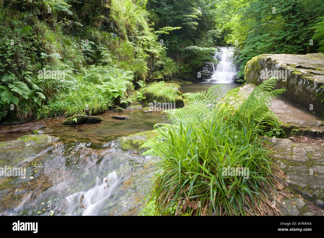 Der Wasserfall auf Hoar Eiche Wasser kurz bevor es fließt in den Osten Lyn River bei Watersmeet in der Nähe von Lynmouth, Exmoor, Devon Stockfoto