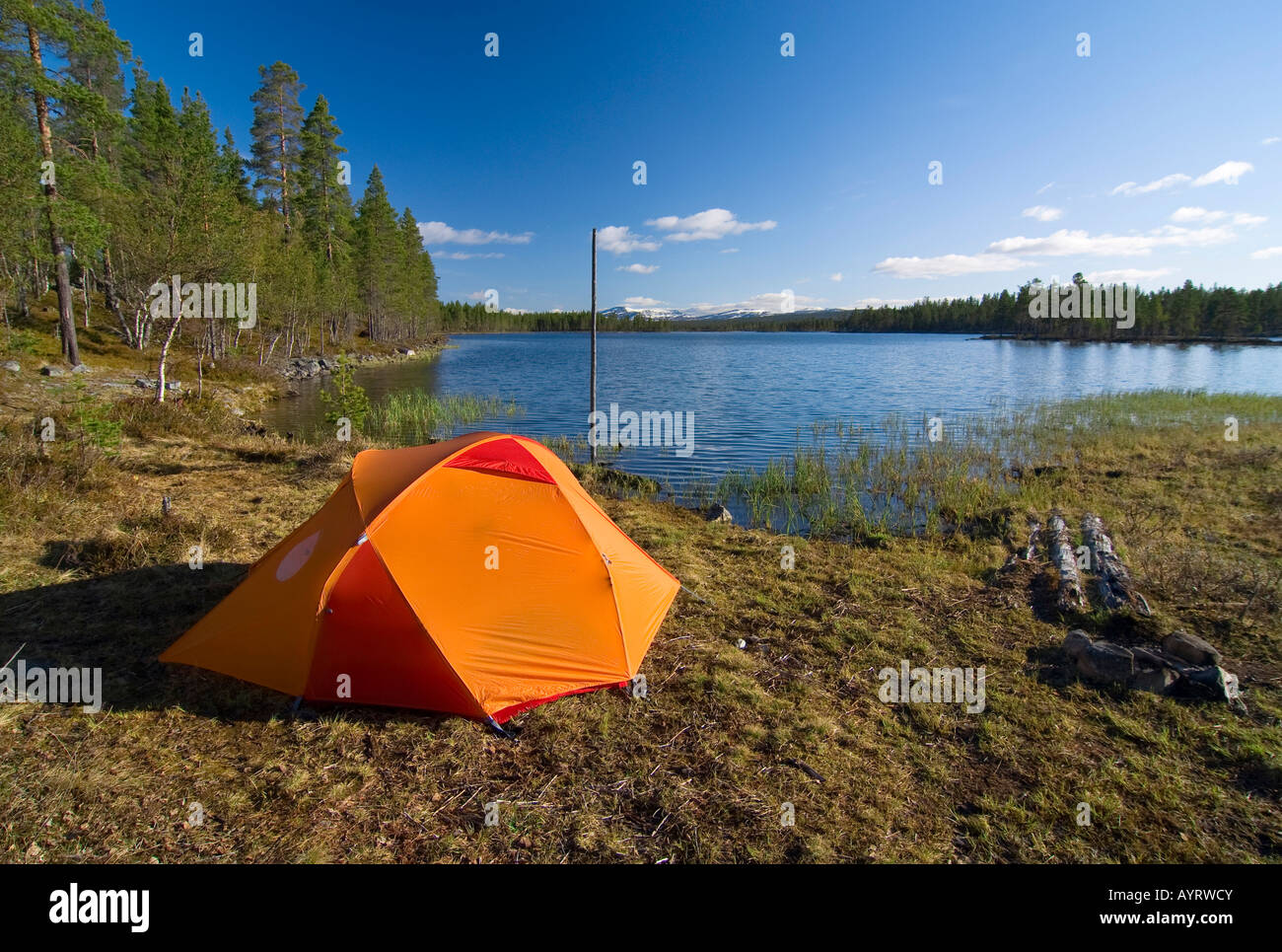Zelt aufgestellt auf dem Ufer von See Femunden, Femundsmarka Nationalpark, Femundsmark, Norwegen, Skandinavien Stockfoto