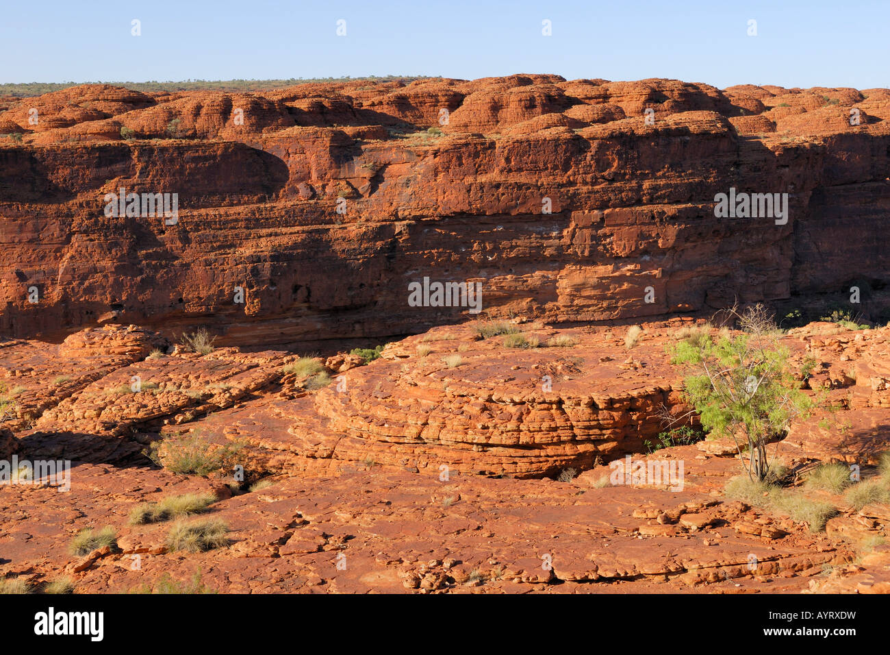 Sandstein-Formationen, Kings Canyon Rim Walk, Watarrka National Park, Northern Territory, Australien Stockfoto