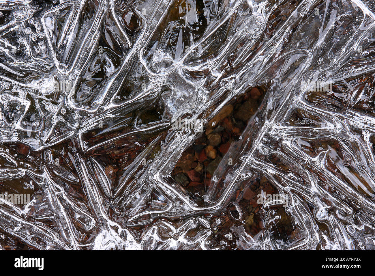 Eiskristalle gebildet auf eine gefrorene Pfütze Stockfoto