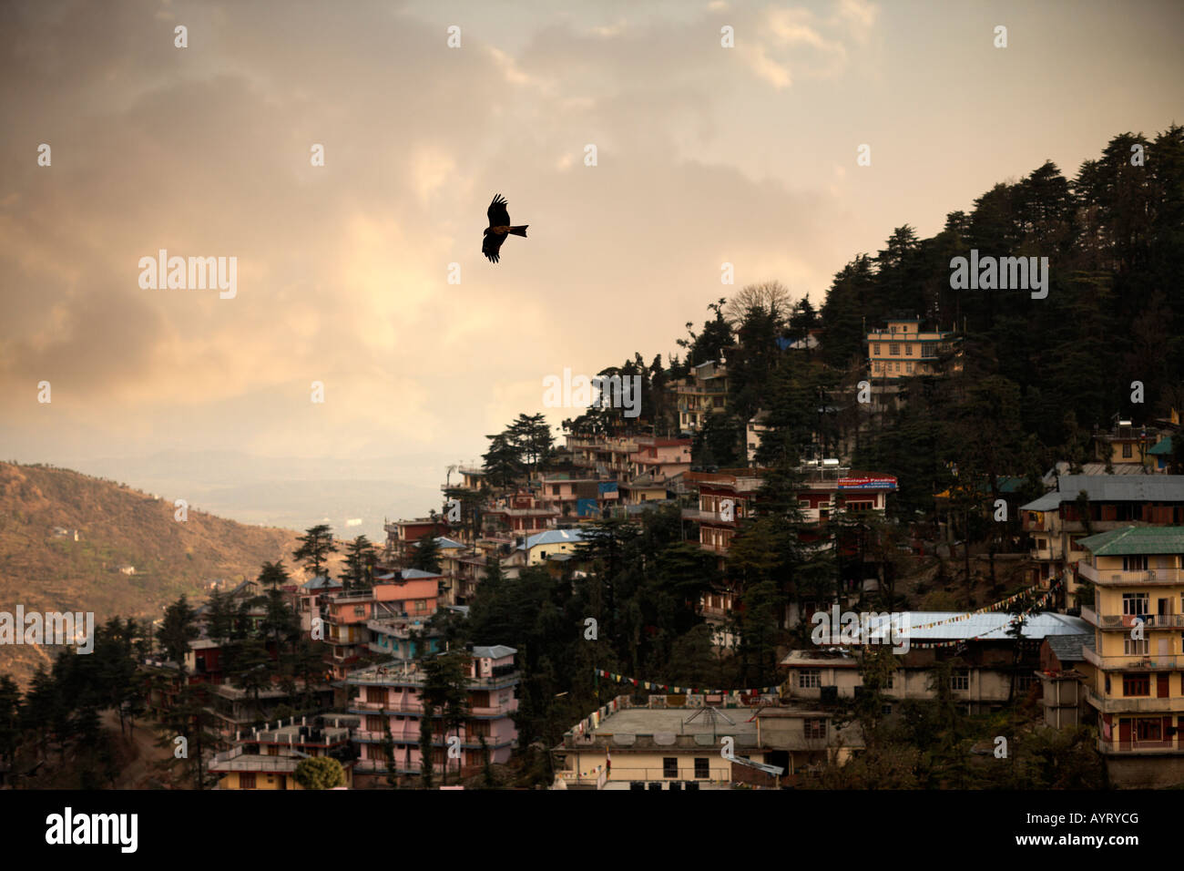 Weitwinkelaufnahme des Mcleod Ganj Hang von Dharamsala Indien bei Sonnenuntergang Stockfoto