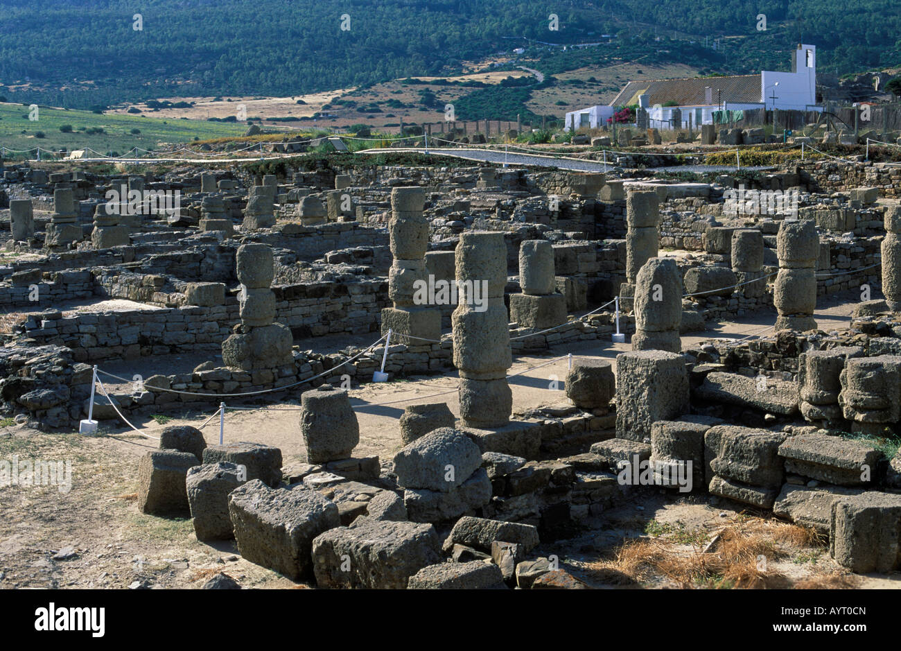 Römische Ruinen Baelo Claudia, Costa De La Luz der Provinz Cádiz, Andalusien, Spanien Stockfoto