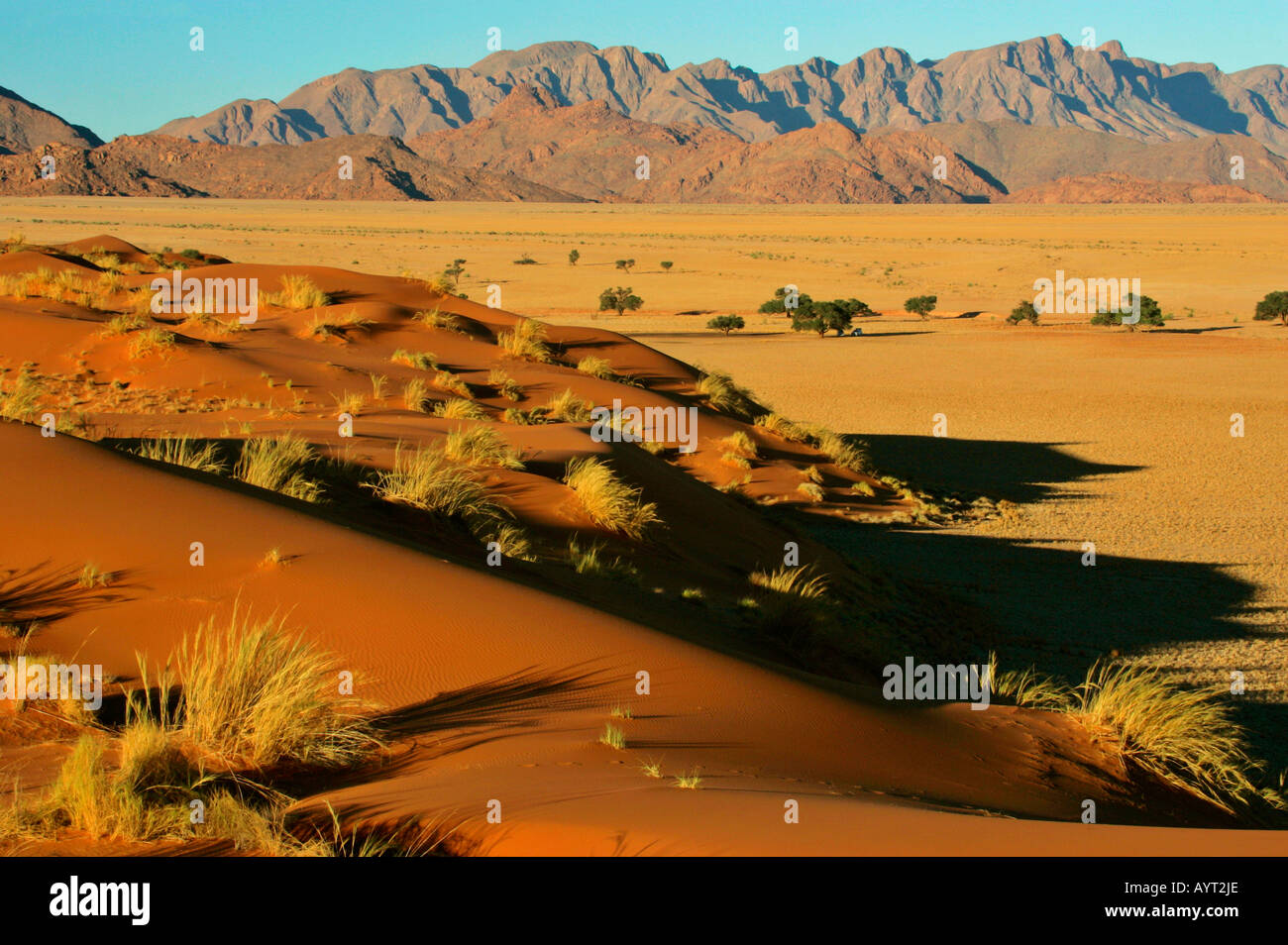 Blick vom Elim Düne zu den Dünen Namib Namib Wüste Namib Naukluft Park Namibia Afrika Stockfoto