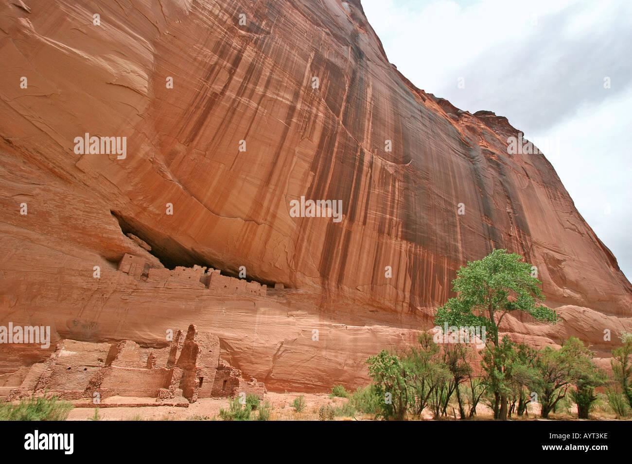 Rock-Ruinen in Whitehouse Ruine am Canyon de Chelly Navajo National Monument Stockfoto