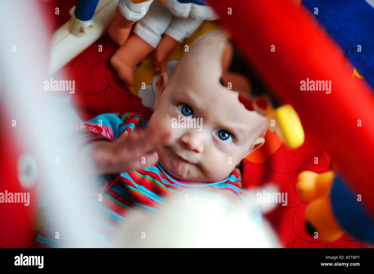 Sechs Monate altes Baby Boy spielen Stockfoto