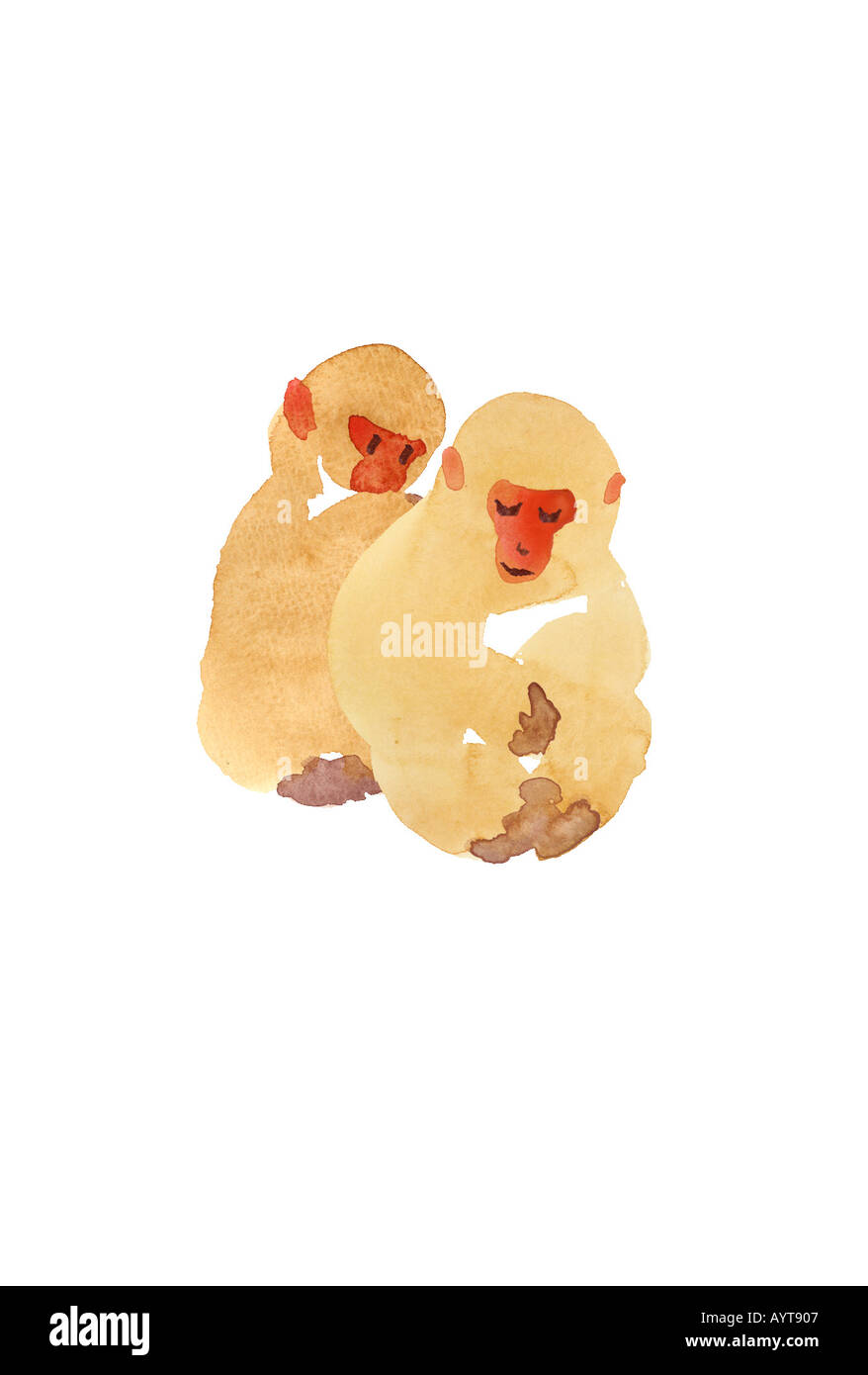 Aquarell Bild von zwei Affen Stockfoto