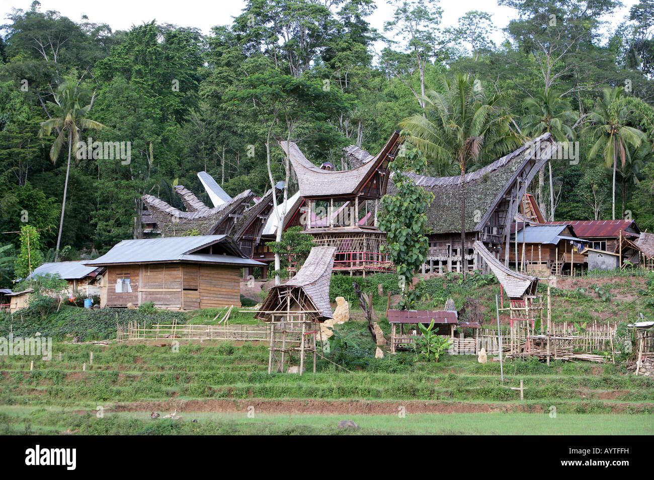 Indonesien, Dorf mit Tongkonan Häuser (Reis Lagerhallen). Sulawesi-Insel in der Nähe von Rantepao Stockfoto