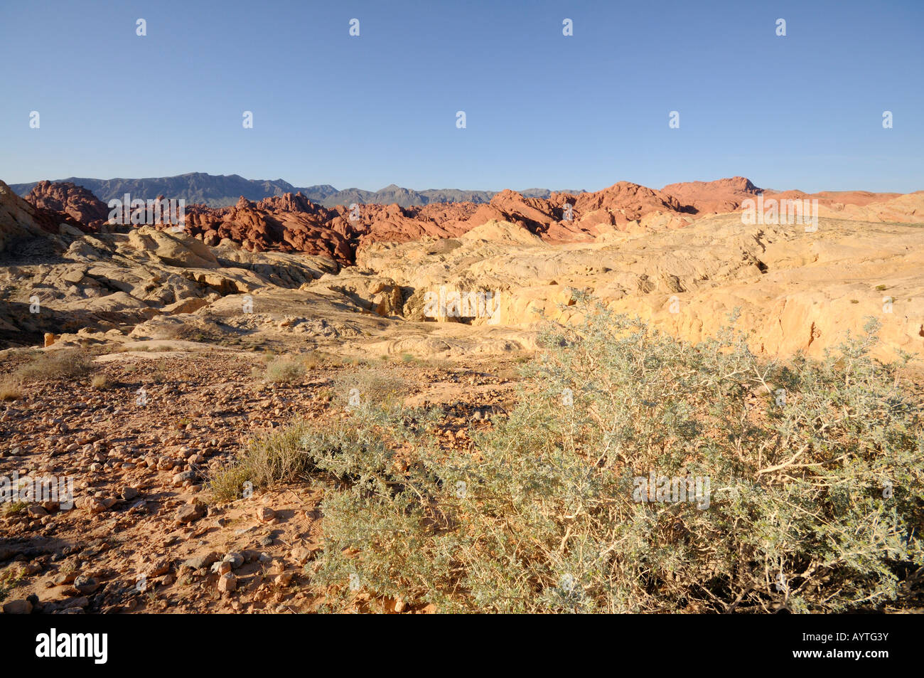 Feuer, Canyon und Silica Kuppel Felsformation im Valley of Fire State Park in Nevada Stockfoto