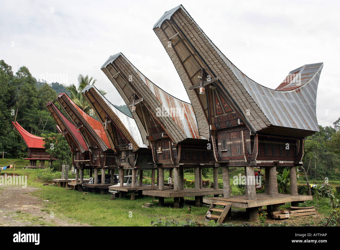 Indonesien: Tongkonan Häuser (Reis Lagerhallen). Sulawesi-Insel in der Nähe von Rantepao Stockfoto