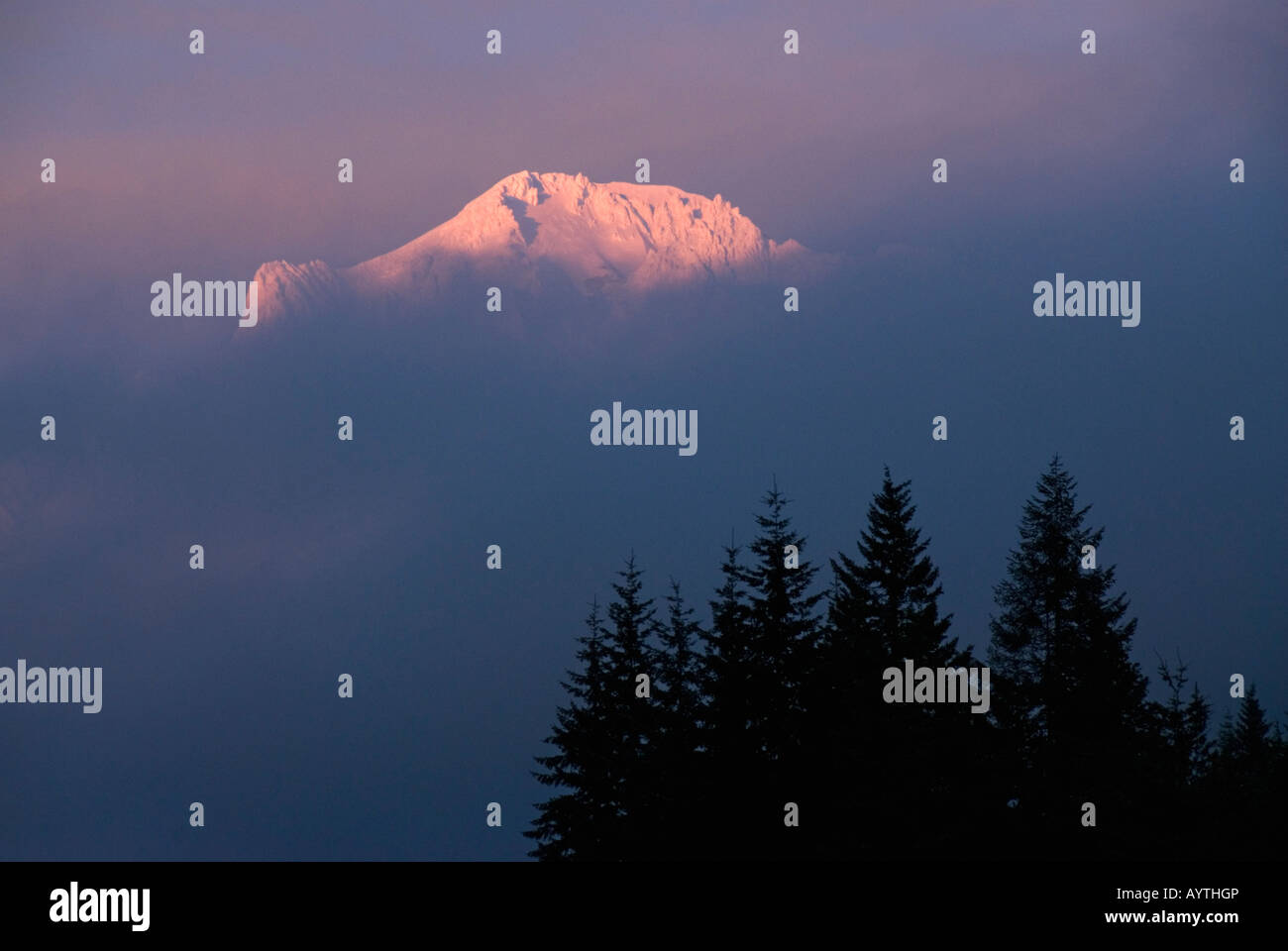 Winter-Sonnenuntergang am Mt. Hood, 11237 Fuß hoch, Cascade Mountains OREGON USA Stockfoto