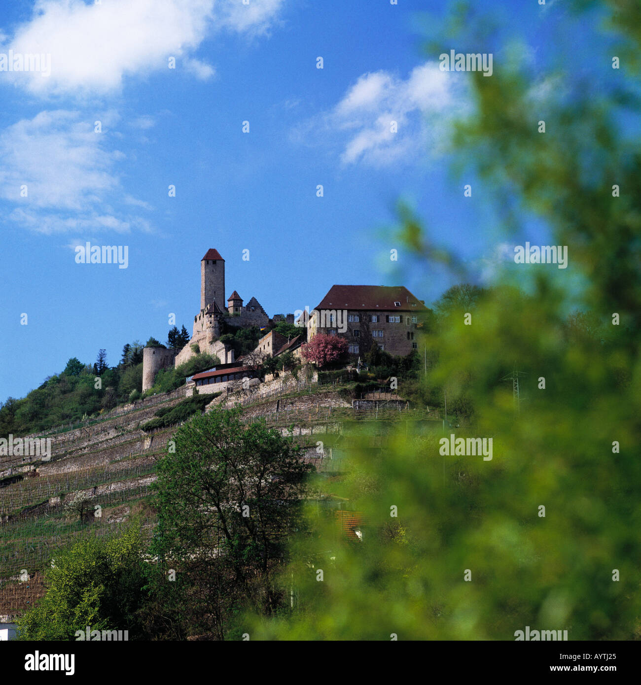 Stammburg von Goetz von Berlichingen, Burg Hornberg, Neckarzimmern, Neckar, Baden-Württemberg Stockfoto