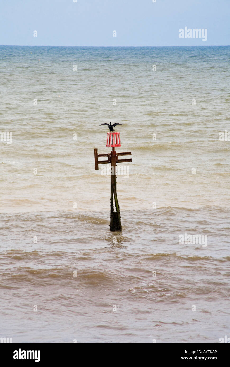 High Water Mark im Meer an der Cromer Norfolk in England Stockfoto