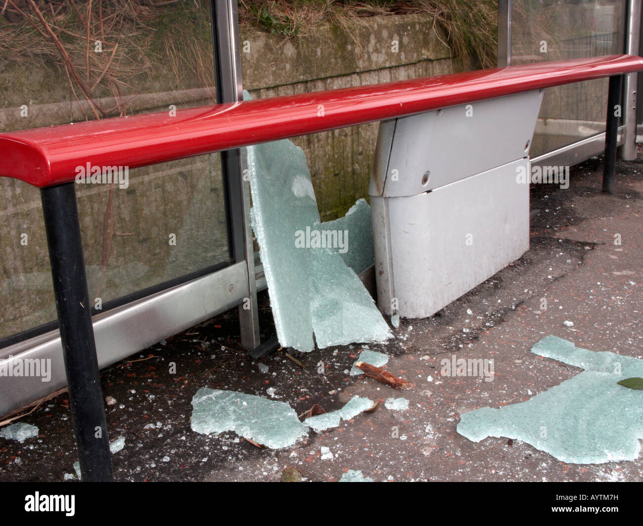 geschändeter Bussitz Tierheim mit Glasscherben Sicherheit Stockfoto